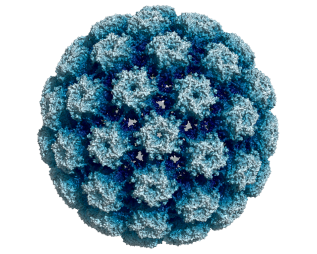 FireLAMP-HPV